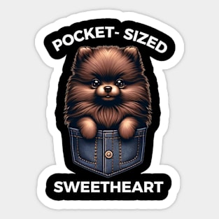 CHOCOLATE POMERANIAN Sticker